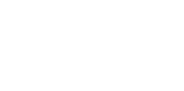 Higg Index